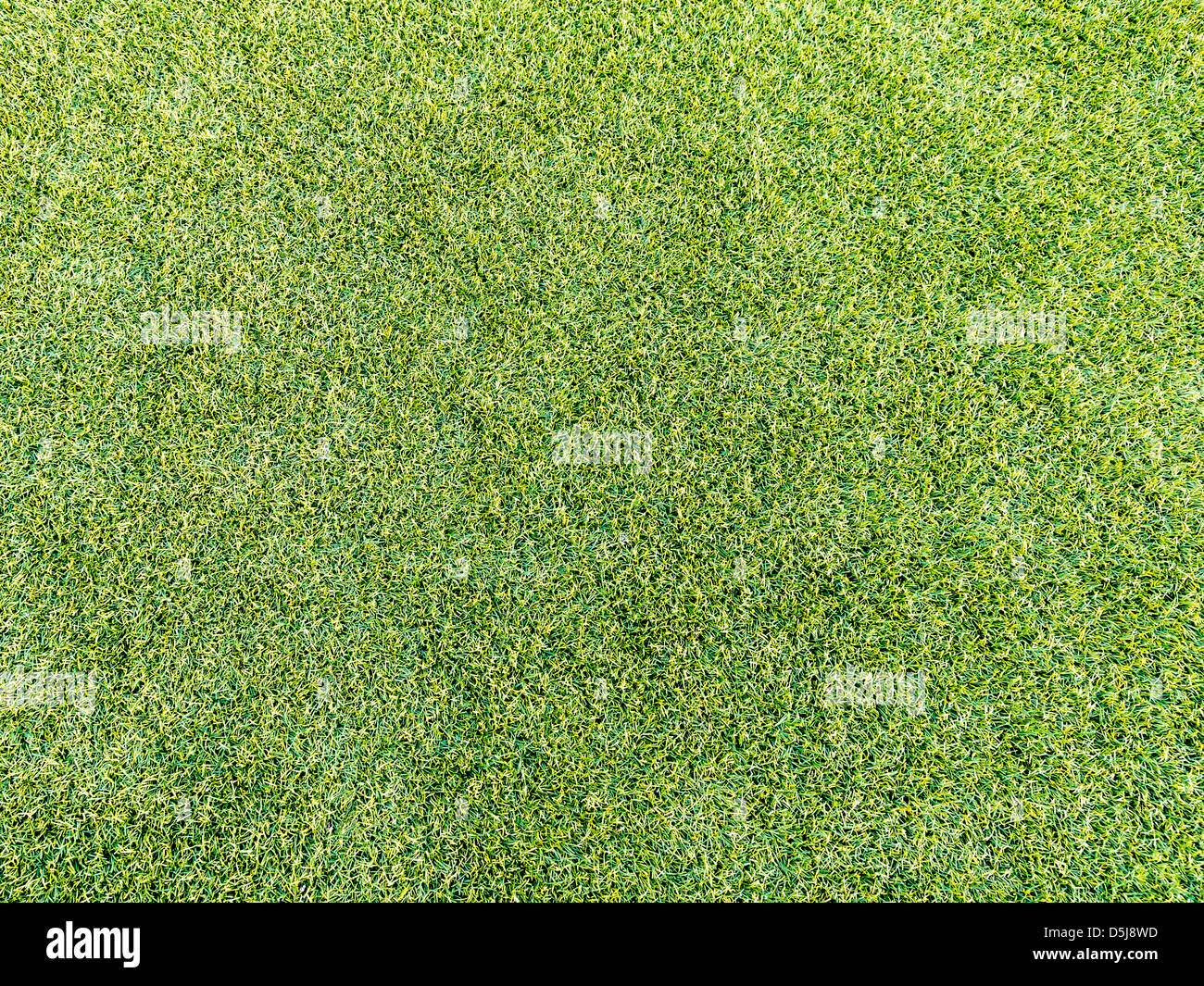 Le Gazon artificiel Banque D'Images