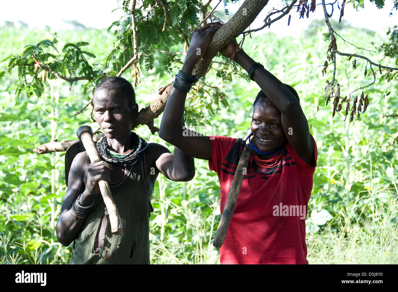 Les agricultrices de Karamoja, prendre une pause lors de la récolte, dans le district de Napak Banque D'Images