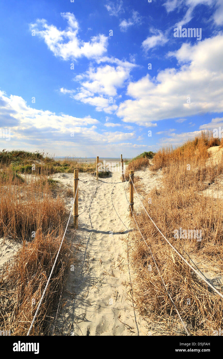 Chemin à travers les dunes de sable jusqu'à West Wittering Beach a Blue Flag Beach à West Wittering, Chichester, West Sussex, Angleterre, Royaume-Uni Banque D'Images