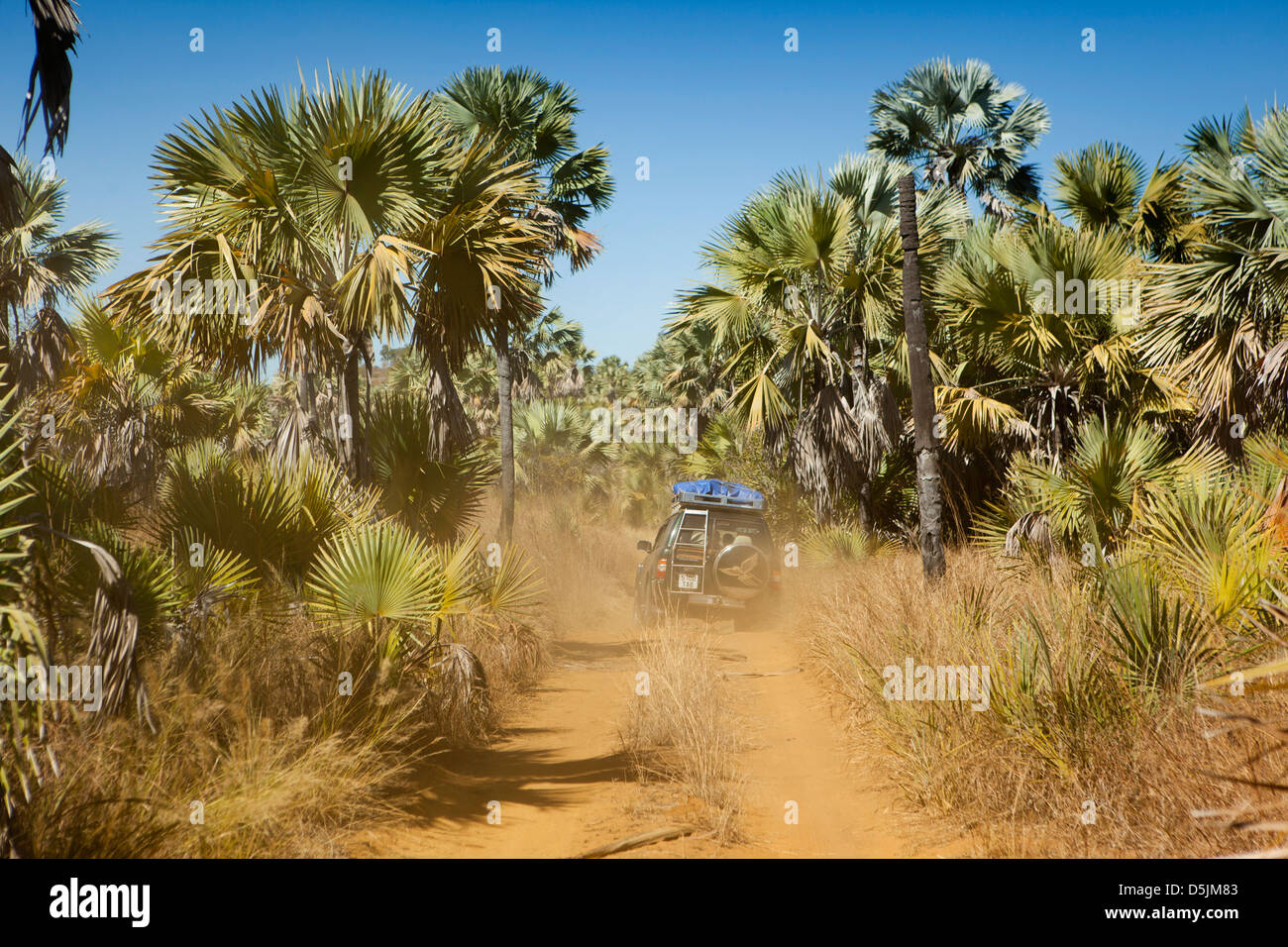 Madagascar, de la réunion, quatre roues motrices véhicule roulant le long des route poussiéreuse de Mariarano Banque D'Images
