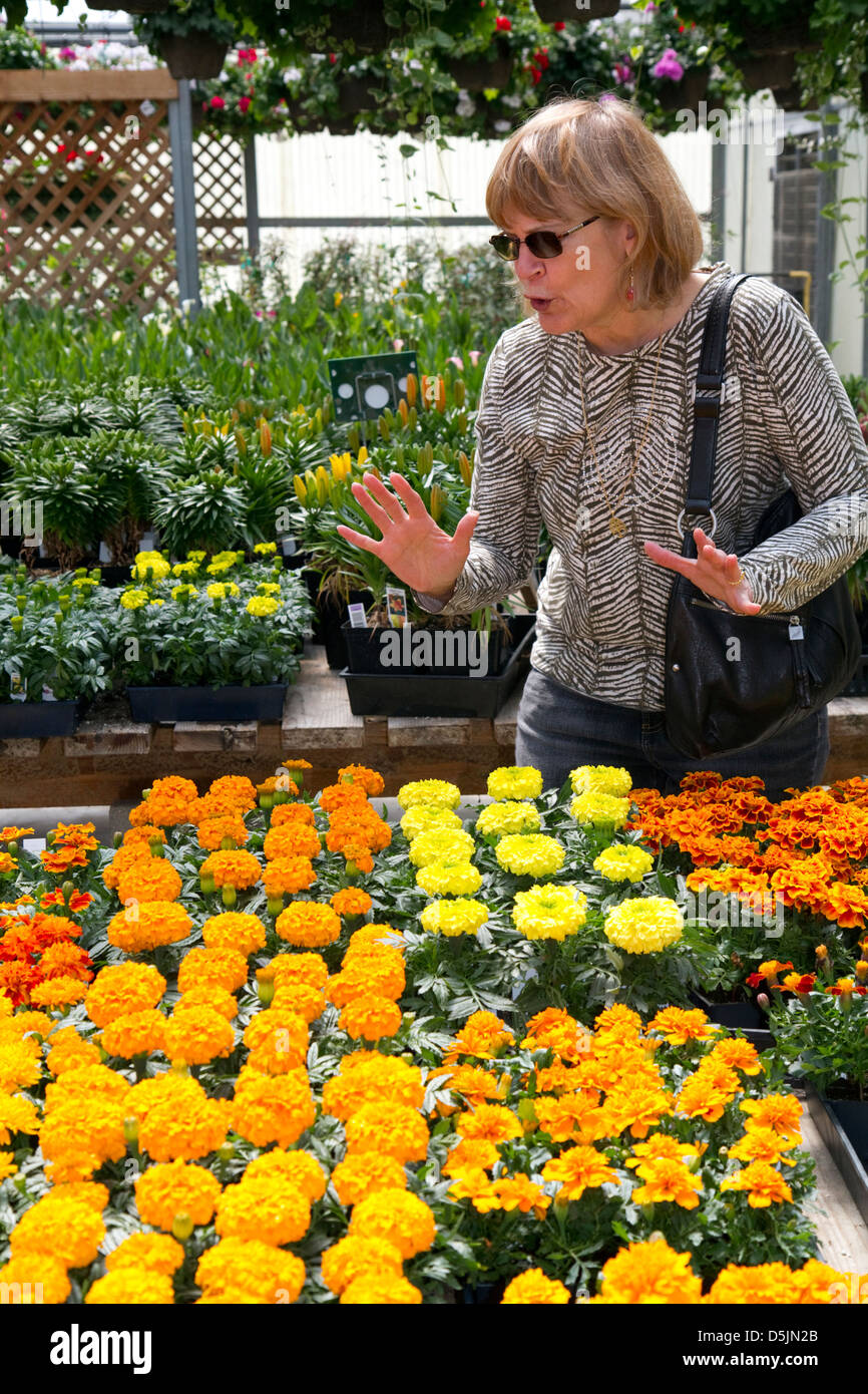 Customer shopping pour les fleurs dans une pépinière de Jerome, Idaho, USA. M. Banque D'Images