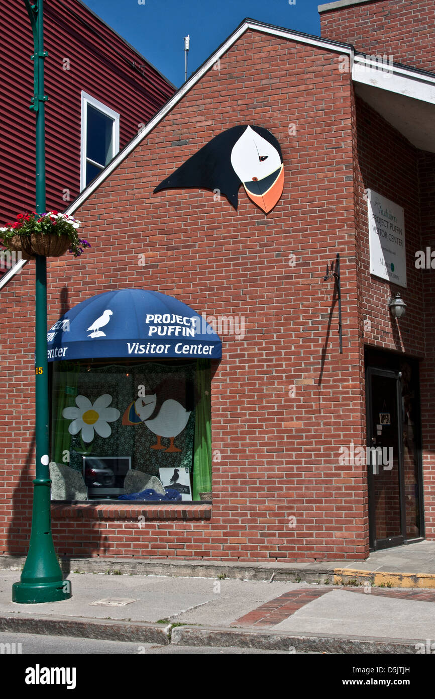 Le projet de centre de macareux l'Audubon Society pour la protection des espèces menacées, Rockland, Maine, rue Main Banque D'Images