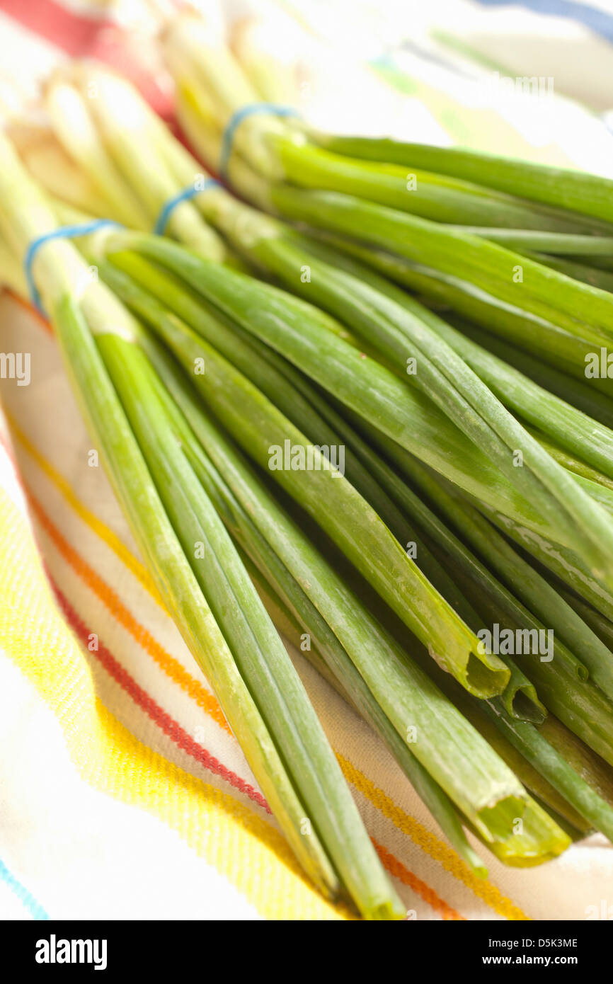 Bouquets d'oignons verts, parfois appelé longtemps ou d'oignons verts Banque D'Images