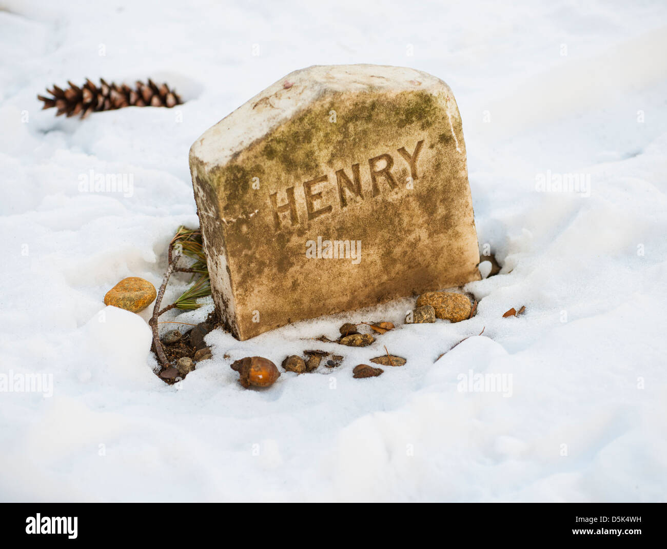 USA, Massachusetts, Concord, Walden Pond, Tombe de Henry David Thoreau Banque D'Images