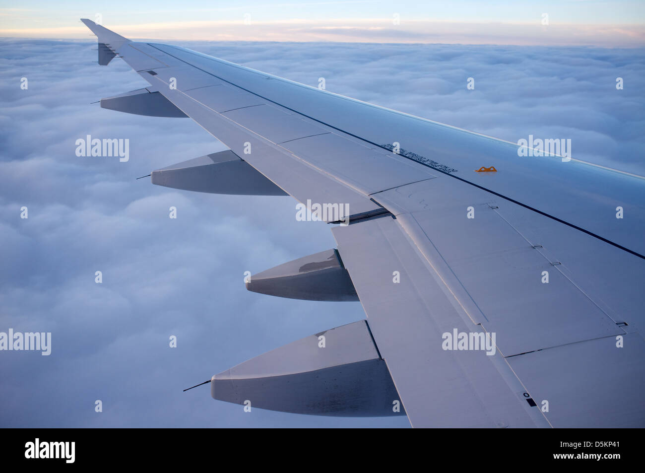 Aile Airbus A319 Banque D'Images