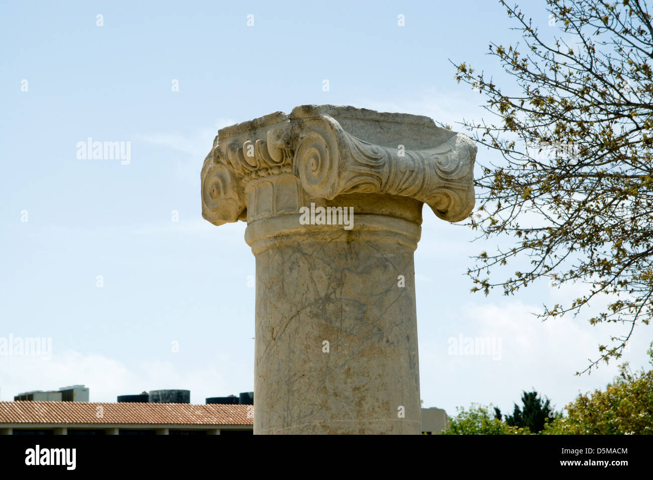Colonne ionique ancienne basilique chrétienne paphos Chypre Banque D'Images
