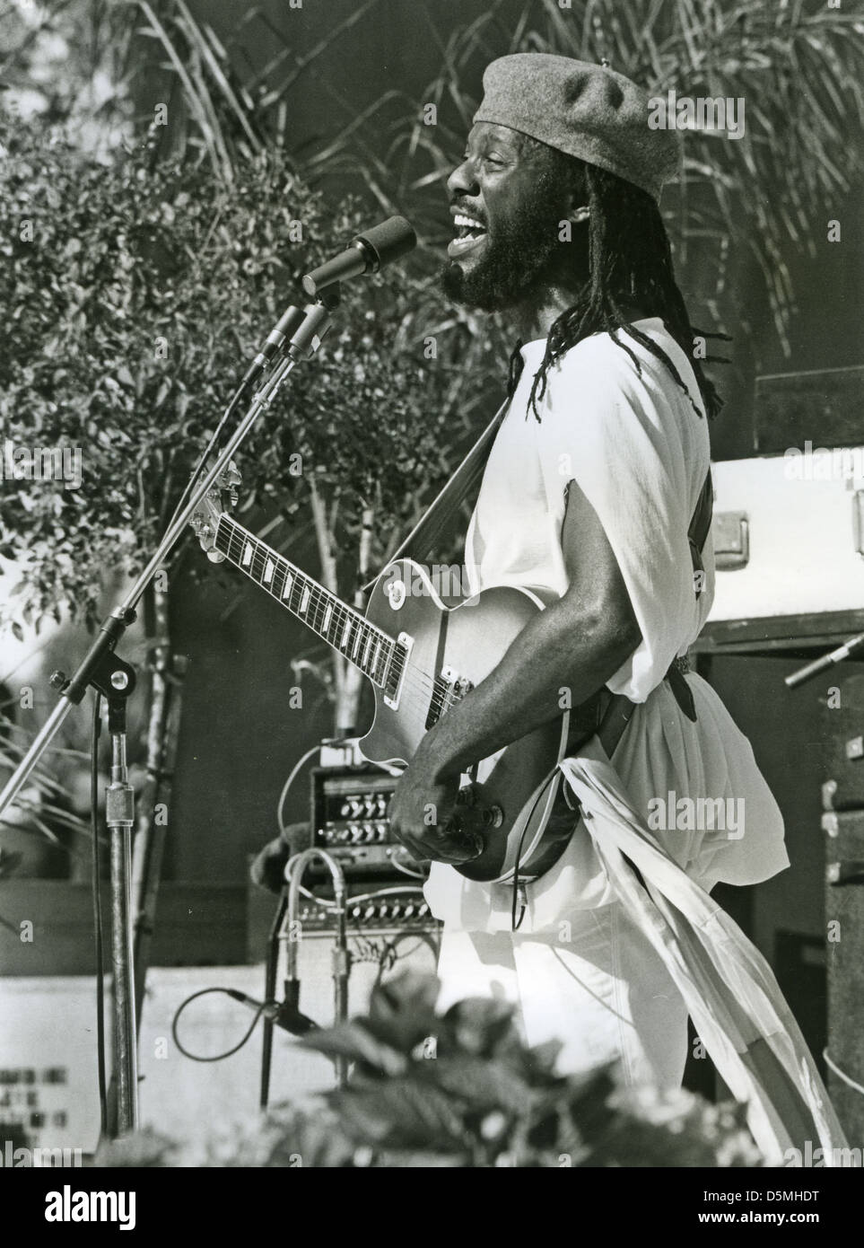 William bunny rugs Banque de photographies et d’images à haute