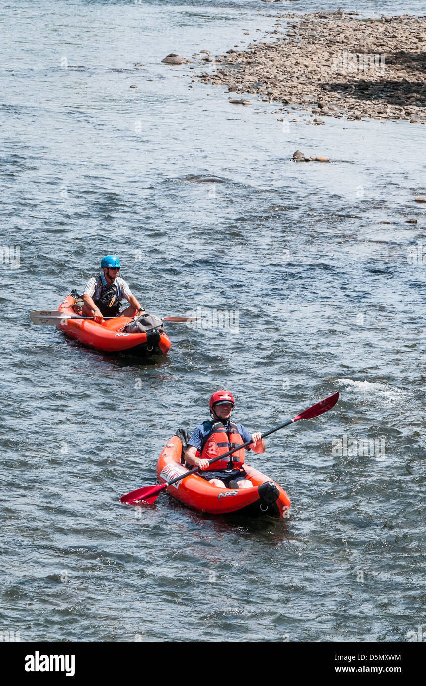 De doux duckies ride sauvage la rivière Animas, Durango, Colorado. Banque D'Images