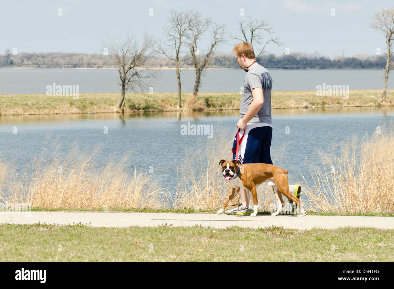 Un jeune homme à tête rouge promène son chien boxer sur les sentiers autour du lac Overholser à Oklahoma City, Oklahoma, USA. Banque D'Images