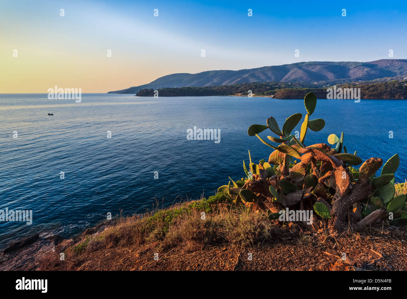 Sur la côte de l'île d'Elbe Banque D'Images