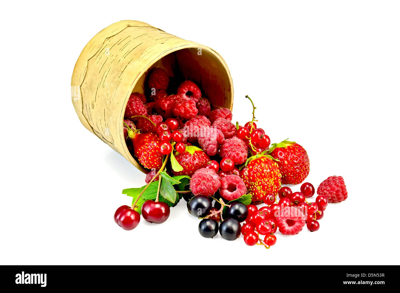 Et groseilles, framboises, fraises, cerises dans un bol de l'écorce de bouleau isolé sur fond blanc Banque D'Images