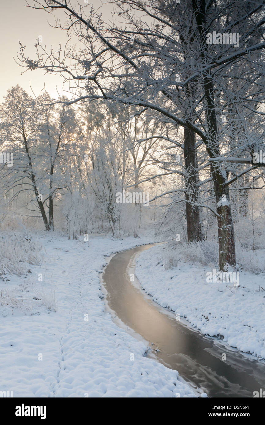 Petite courbe de rivière gelée et arbres en hiver Banque D'Images