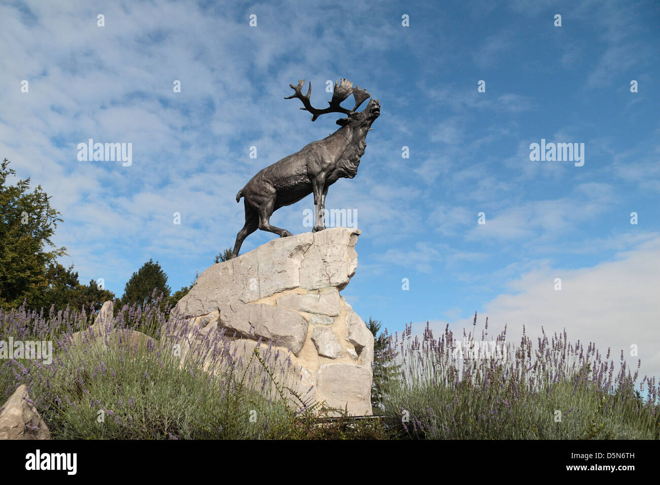 Érigé en 1925, le Caribou et le mémorial aux disparus dans le Parc commémoratif de Terre-Neuve, la Somme, France. Banque D'Images