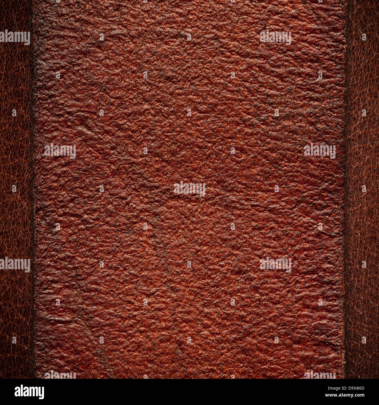 Fond en cuir brun ou grain rugueux texture organique Banque D'Images