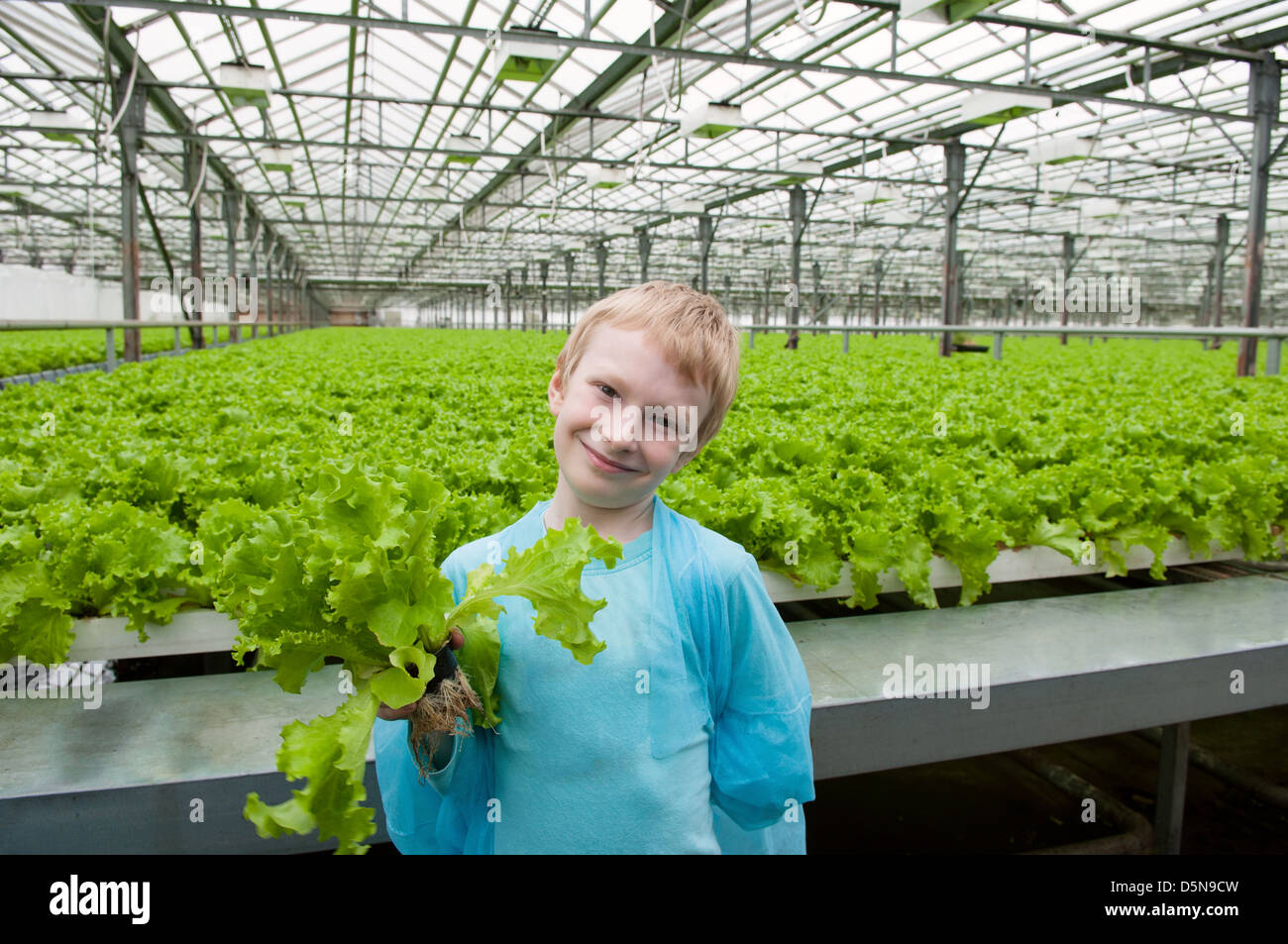 Smiling boy holding lettuce in greenhouse Banque D'Images