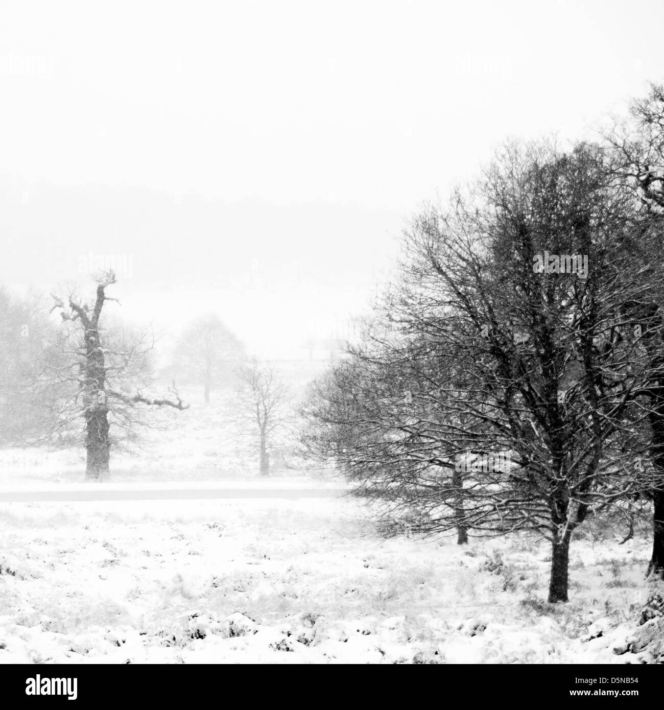 Neige scène à Londres Park Banque D'Images