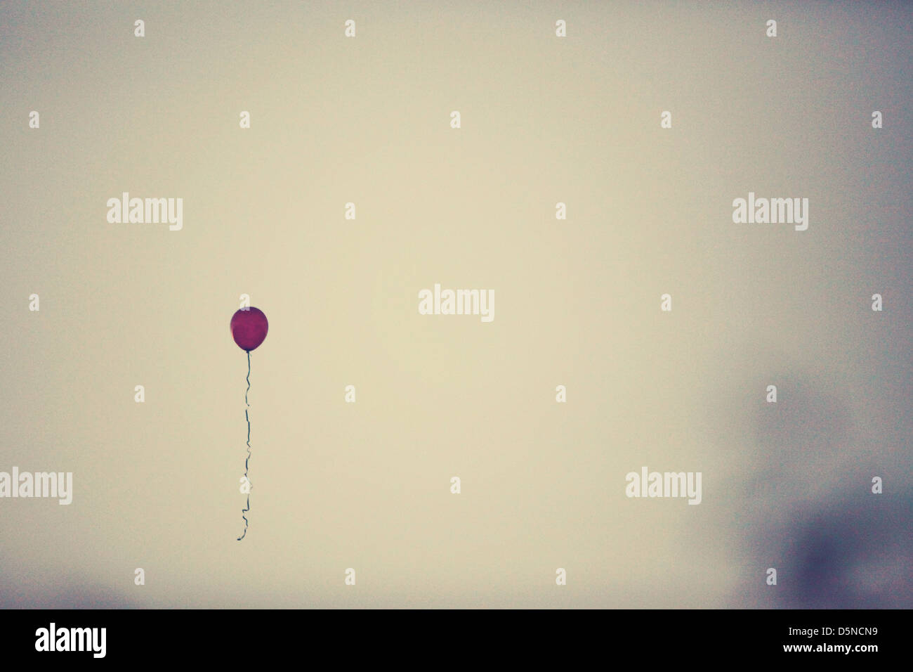 en cavale Banque D'Images