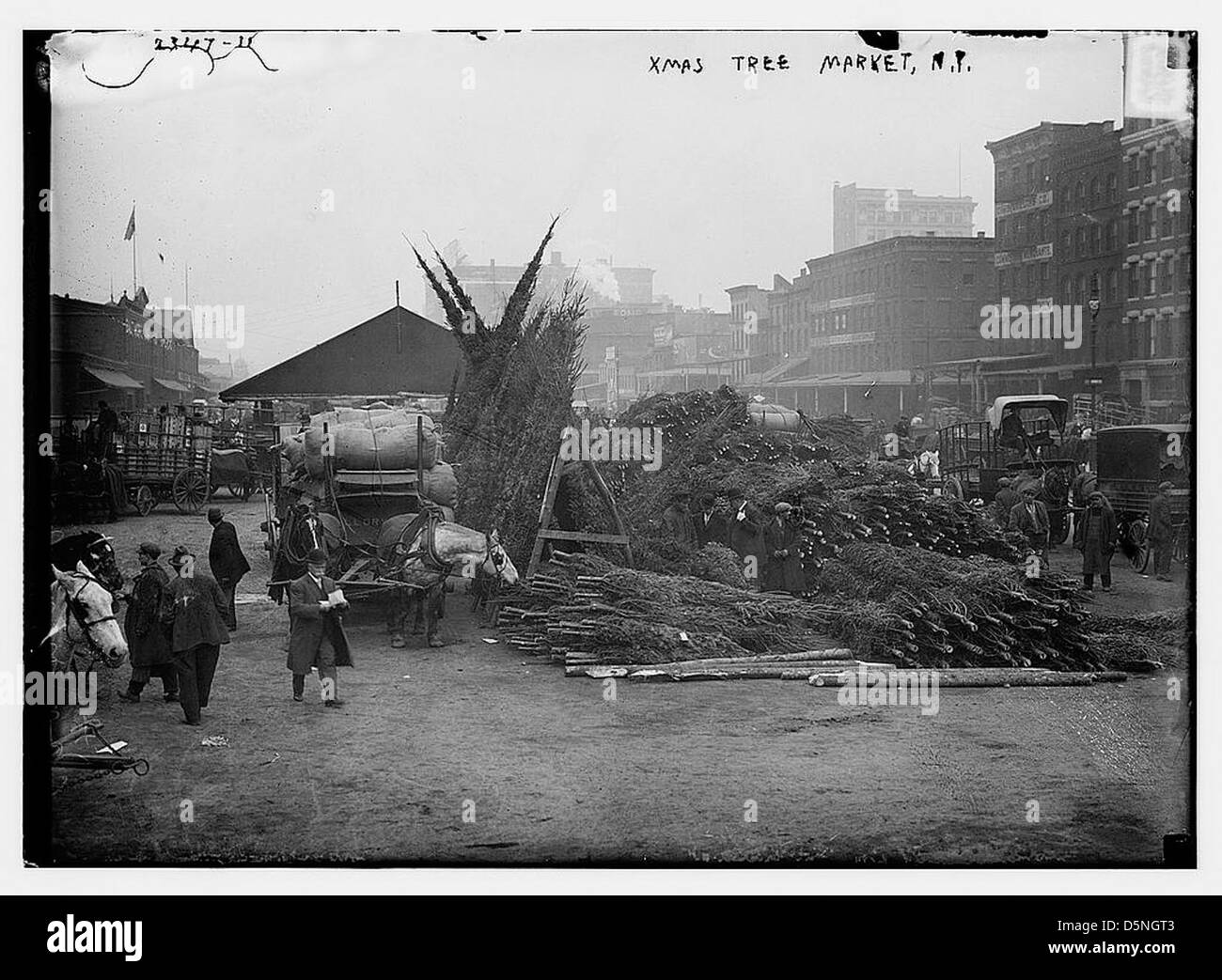 Une photographie du marché des arbres de Noël à New York dans les années 1910, montrant des vendeurs vendant des arbres de Noël, avec des chevaux utilisés pour le transport. Banque D'Images