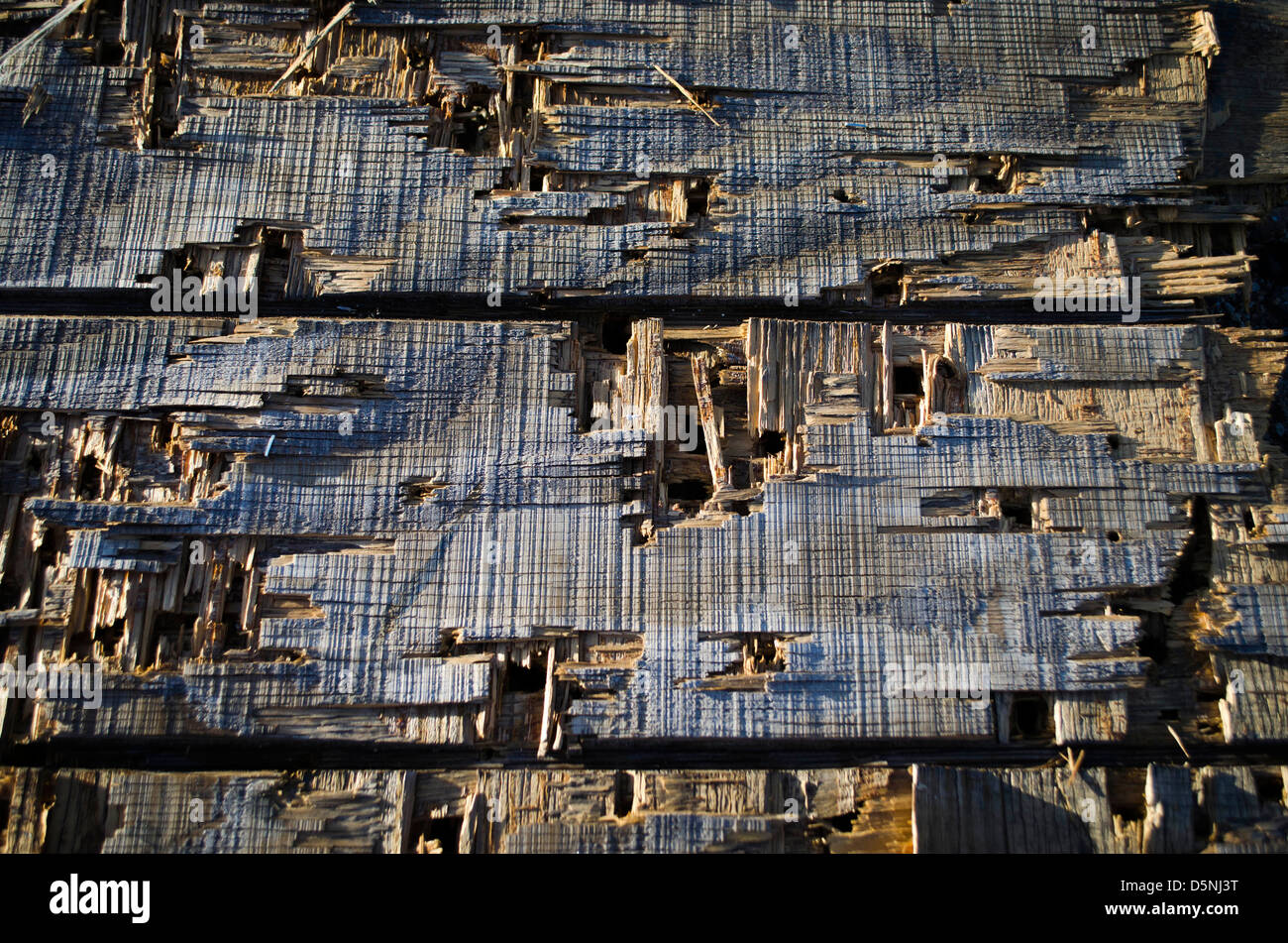 Weathered Wood background désert Banque D'Images