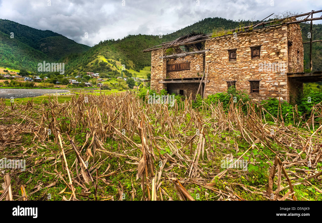 Mur en pierre sèche à l'abandon house déserté après une inondation dans le village de Sangti, dans l'ouest de l'Arunachal Pradesh, au nord-est de l'Inde. Banque D'Images