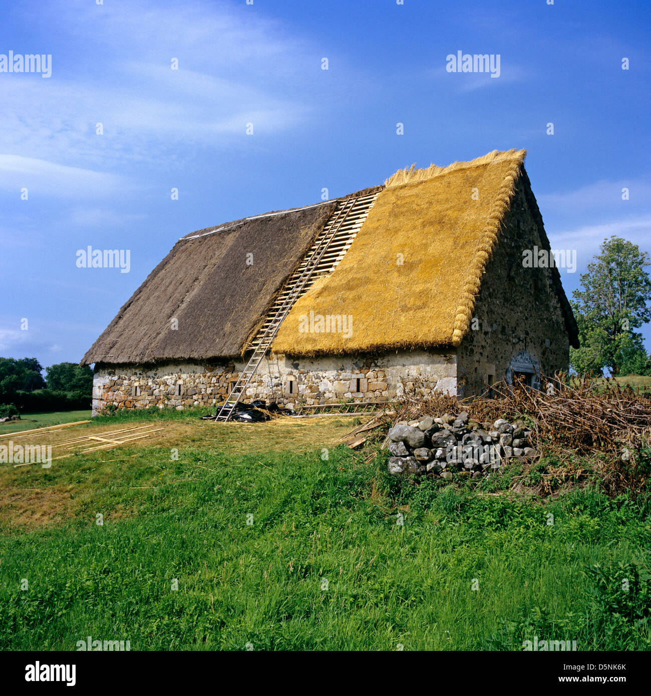 Restauration d'un toit en chaume sur une ancienne grange Banque D'Images