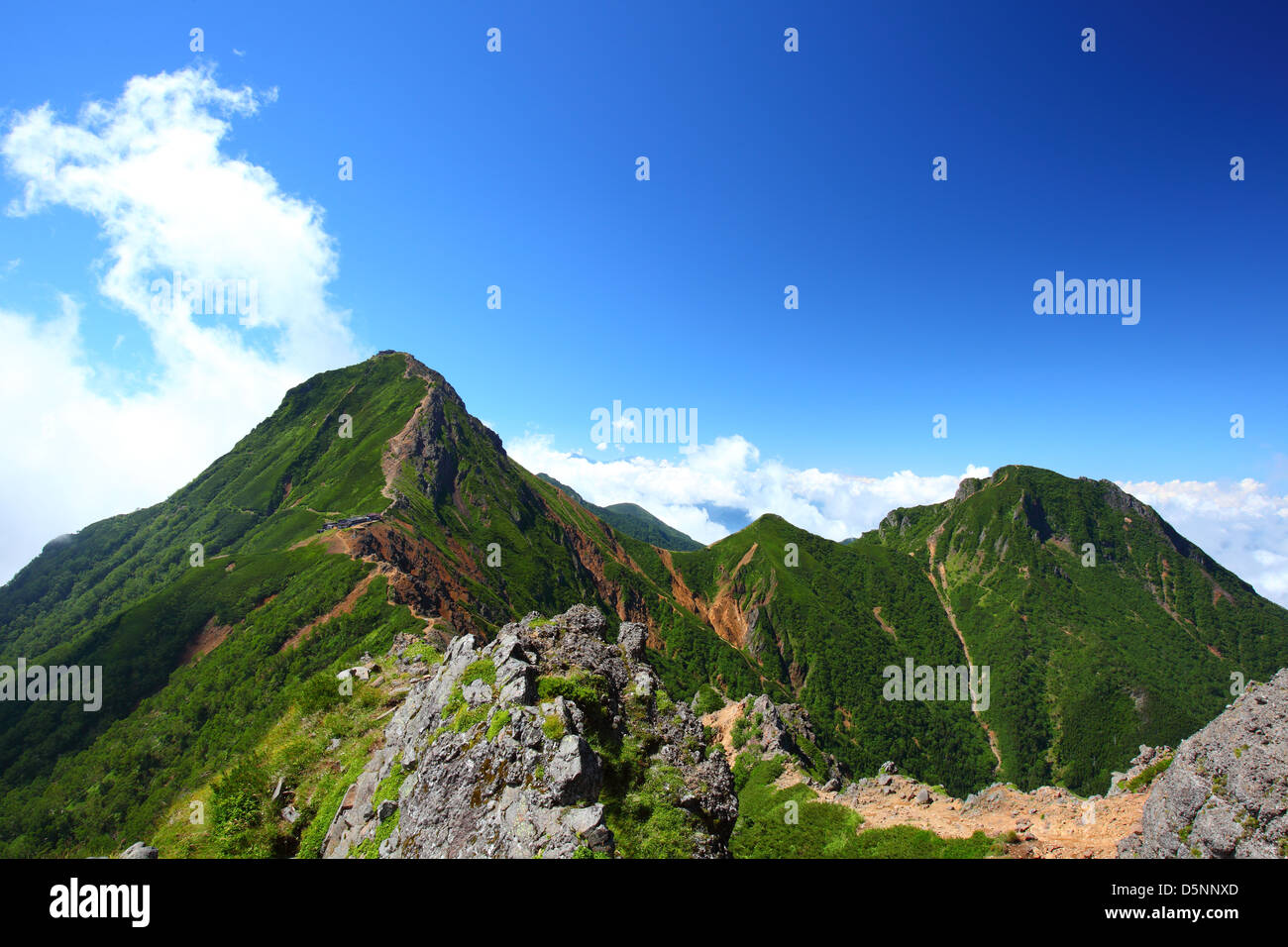 Vue du Mt. Yatsugatake en été, Nagano, Japon Banque D'Images