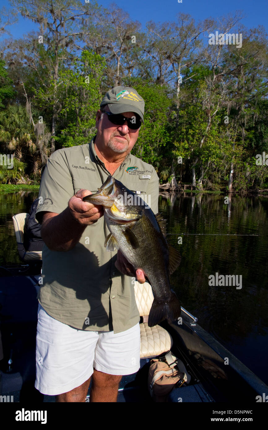 Ron Rawlins, propriétaire d'Highland Park Fish Camp, affiche un achigan à grande bouche, Saint John's River, près de Deland, FL Banque D'Images