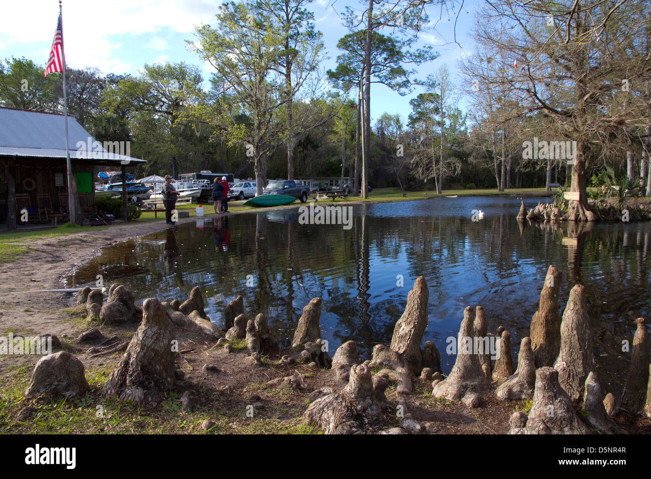 Un étang de pêche (ouvert au public) flanquée de cyprès chauve fronts le magasin à Highland Park, le camp de pêche en Floride Banque D'Images