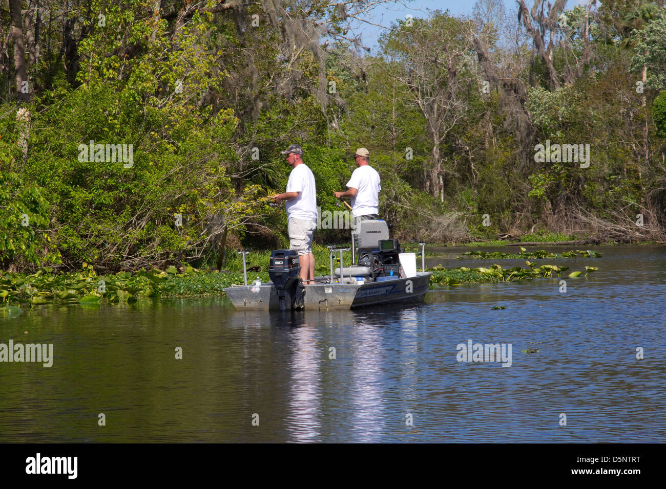 Pêche à la ligne, Saint John's River, près de Deland, FL Banque D'Images