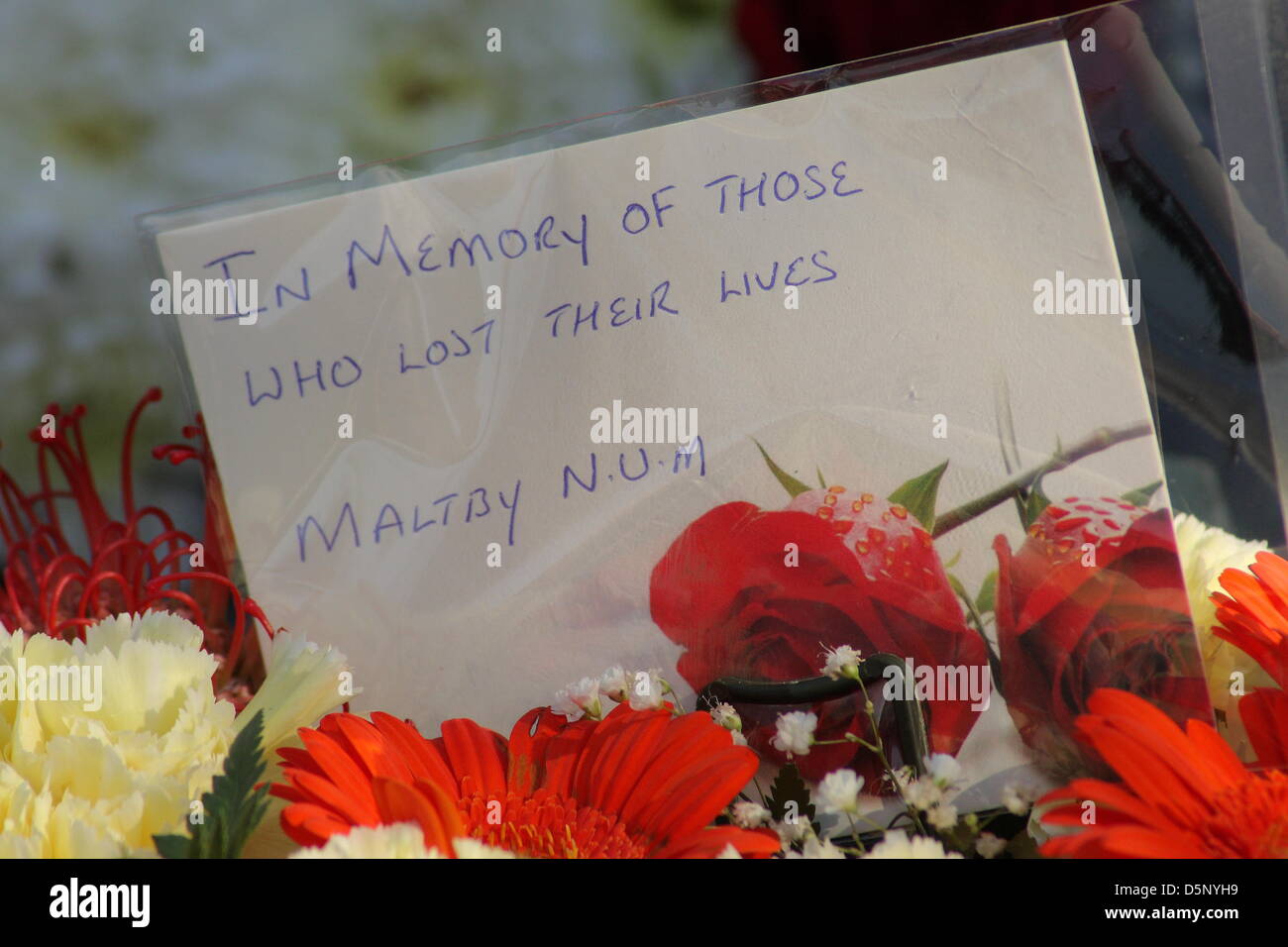 Maltby, UK. 6e avril 2013. Couronnes portées par num sur la tombe de l'Inconnu Miner, Maltby cimetière. Credit : Matthew Taylor / Alamy Live News Banque D'Images