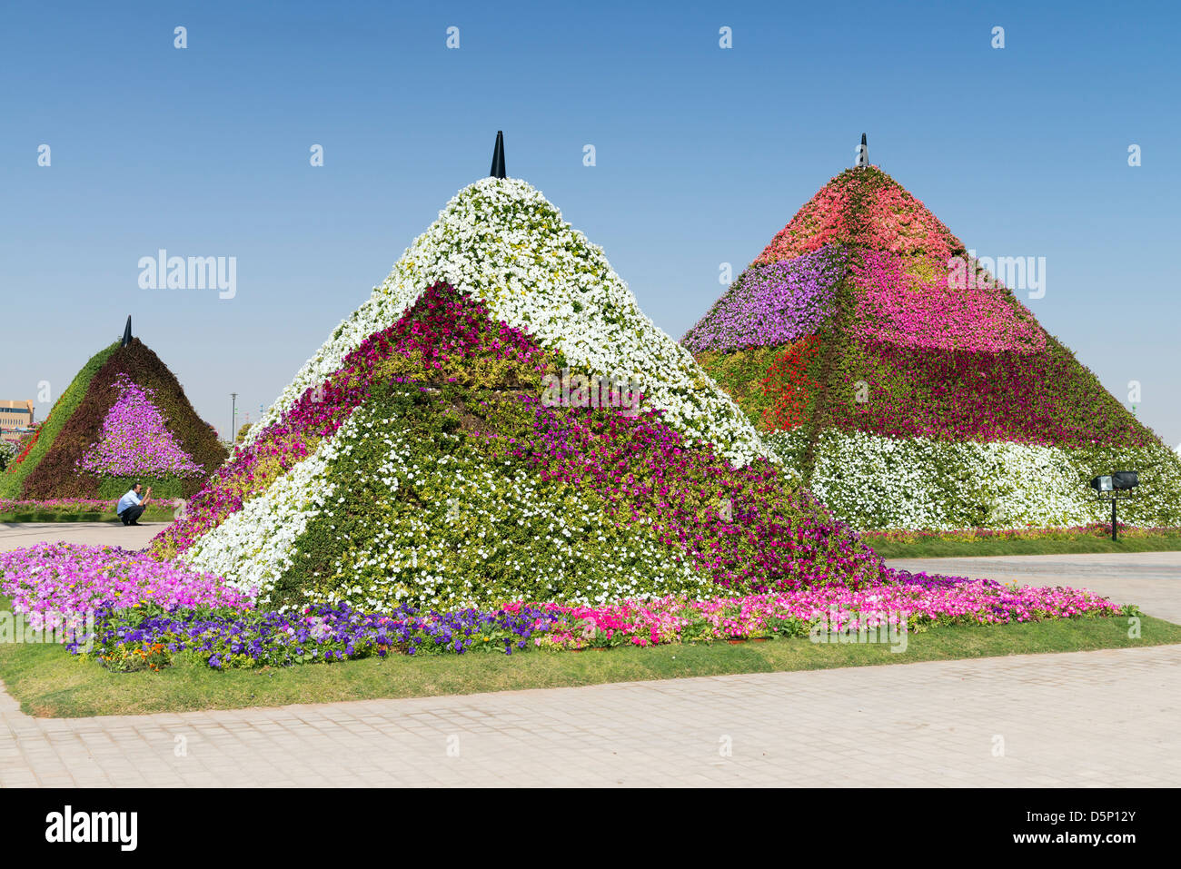 Jardin Miracle à Dubaï, a ouvert ses portes en mars 2013 et a demandé à être plus grand jardin fleuri ; Émirats Arabes Unis Banque D'Images