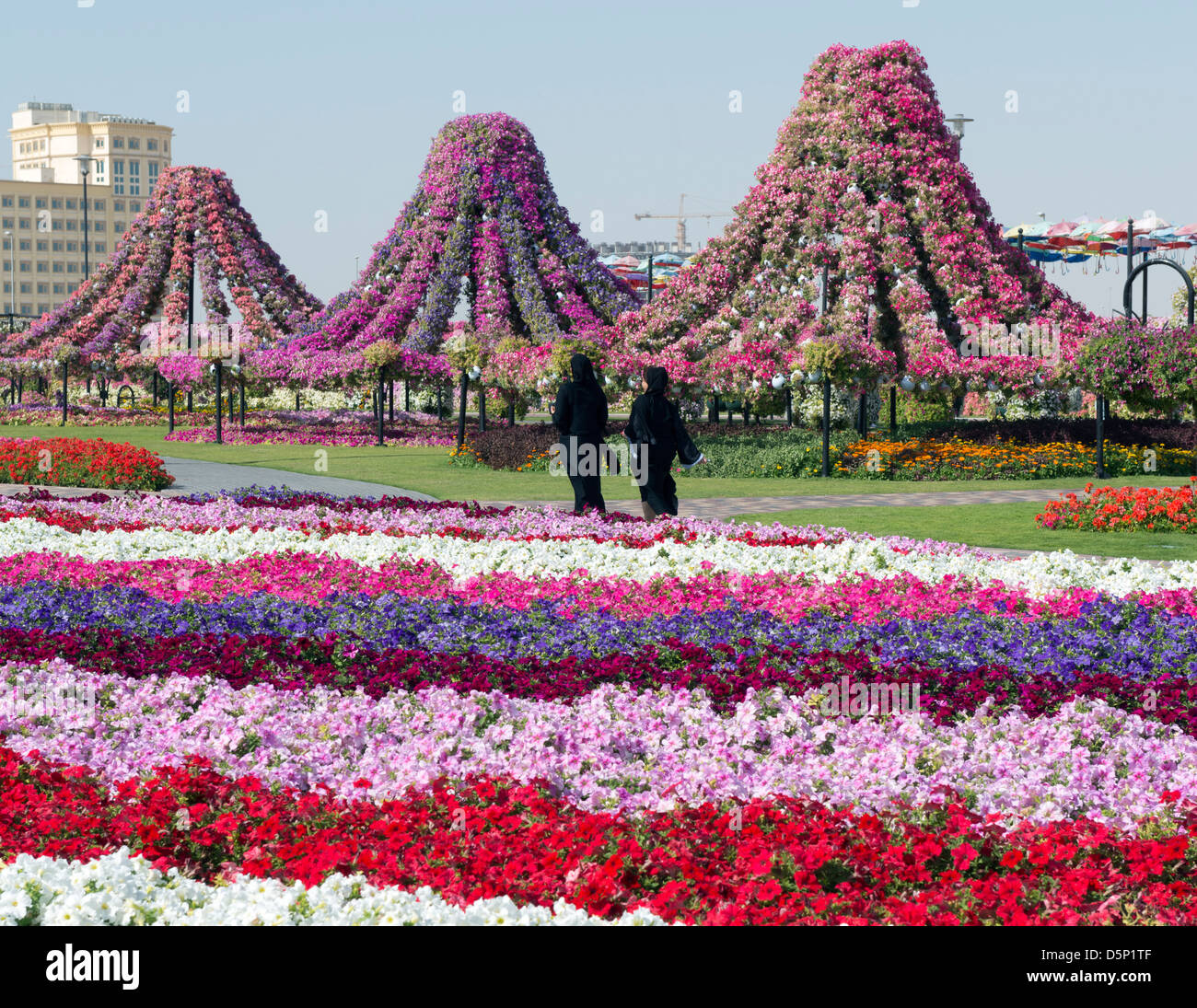 Jardin Miracle à Dubaï, a ouvert ses portes en mars 2013 et a demandé à être plus grand jardin fleuri ; Émirats Arabes Unis Banque D'Images