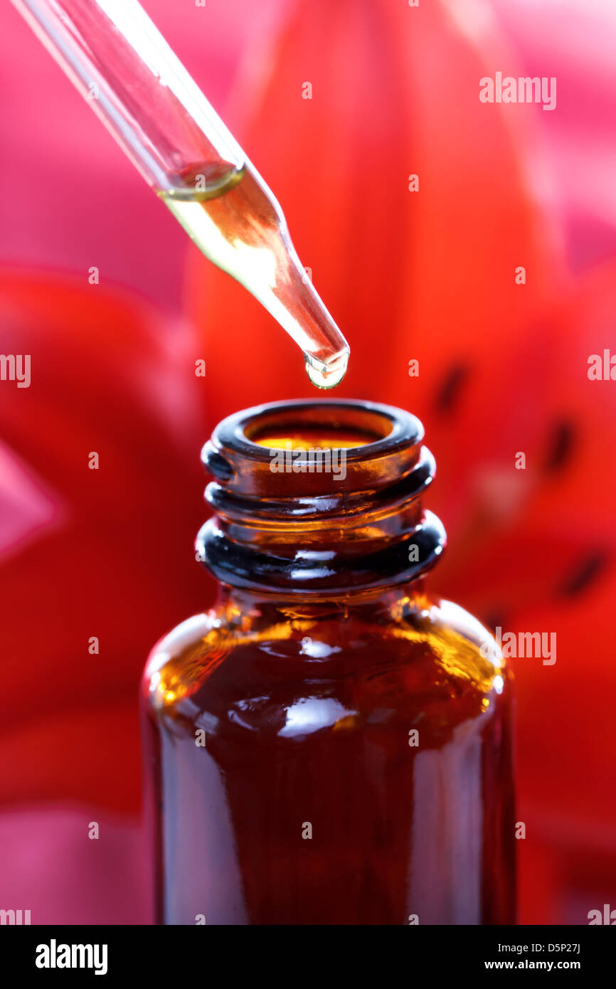 Phytothérapie flacon compte-gouttes avec Red Lily Banque D'Images