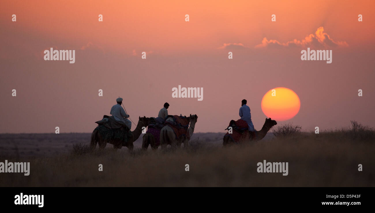 Randonnée chamelière, Jaisalmer, Inde Banque D'Images