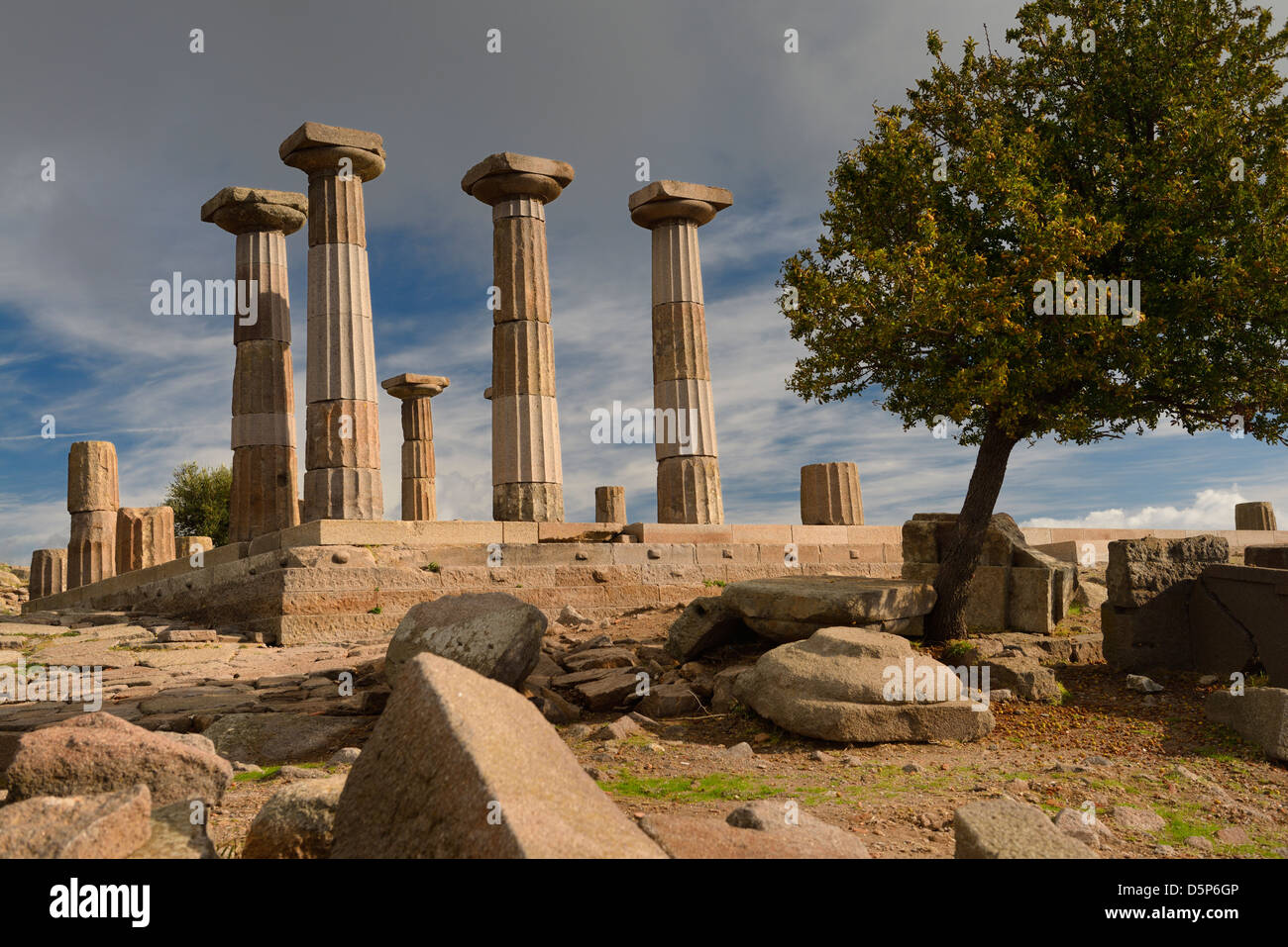 Colonne dorique de ruines du temple d'Athéna avec cognassier à Assos behramkale turquie Banque D'Images