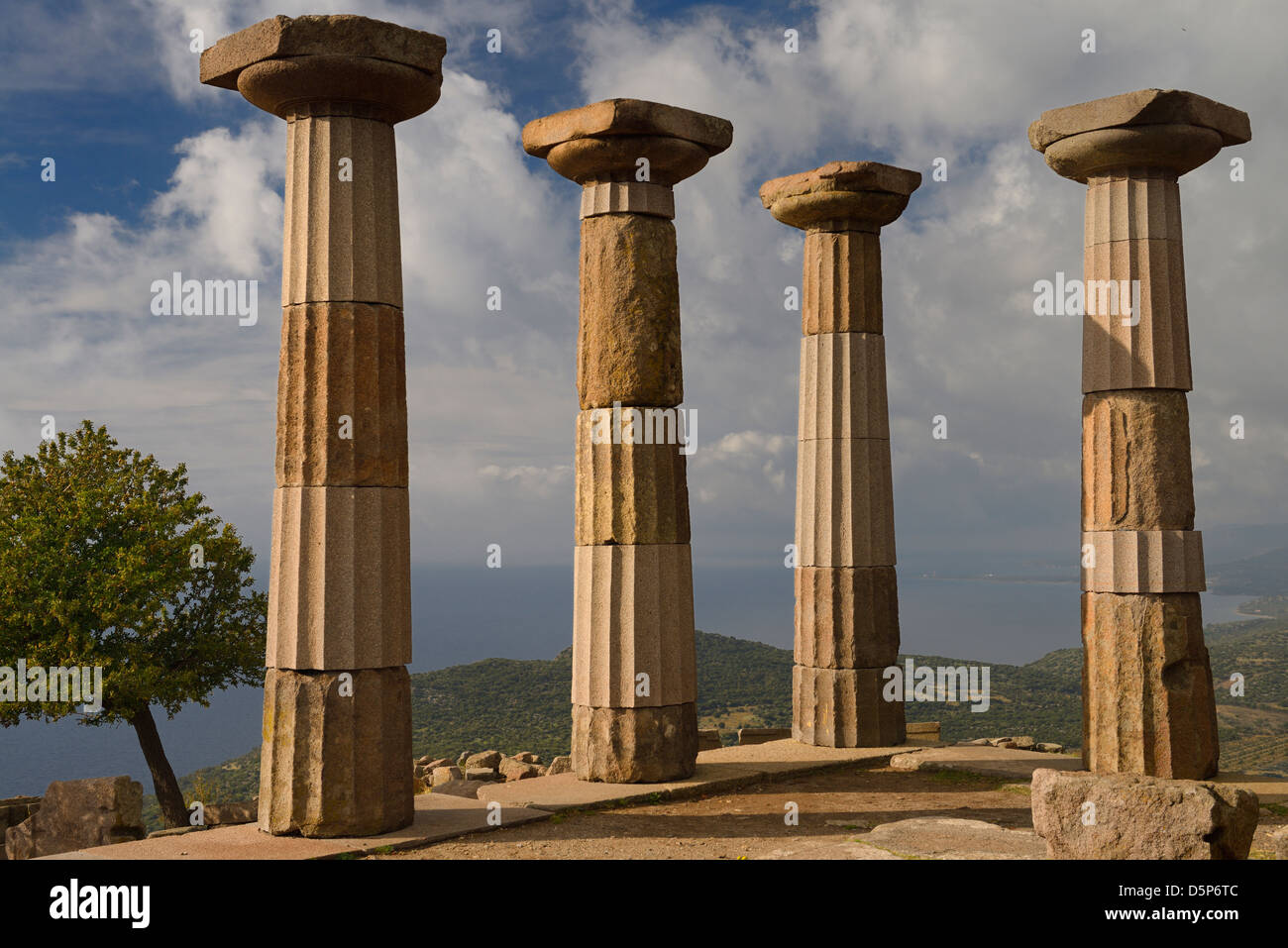 Cognassier et colonne dorique de ruines du temple d'Athéna sur la côte de la mer Égée à Assos behramkale turquie Banque D'Images