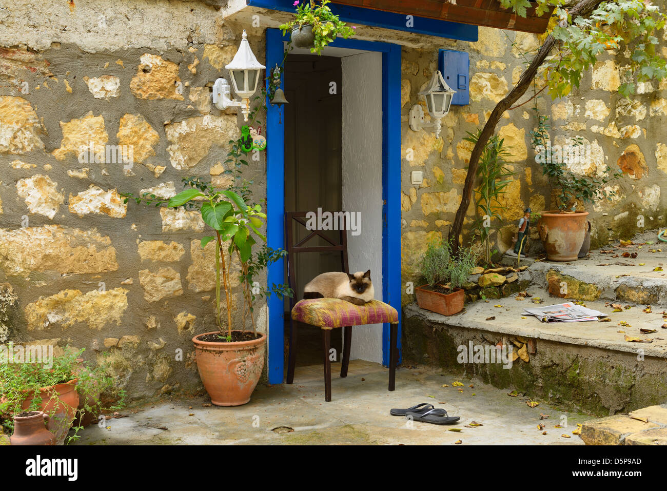 Chat Siamois assis sur une chaise à l'entrée de maison en pierre dans village sur une colline de yesilyurt turquie Banque D'Images