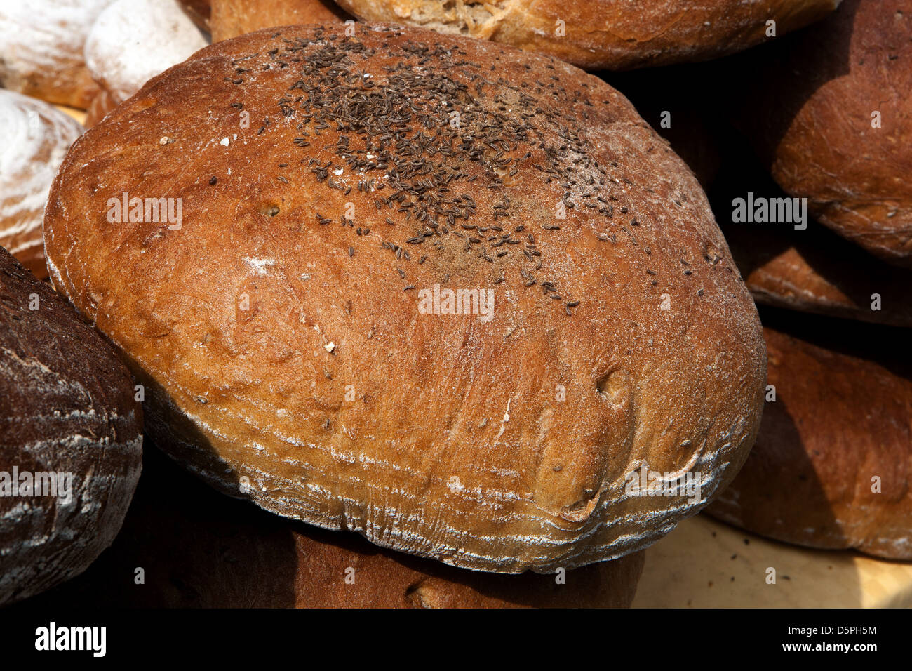 Miche de pain tchèque, tchèque Banque D'Images
