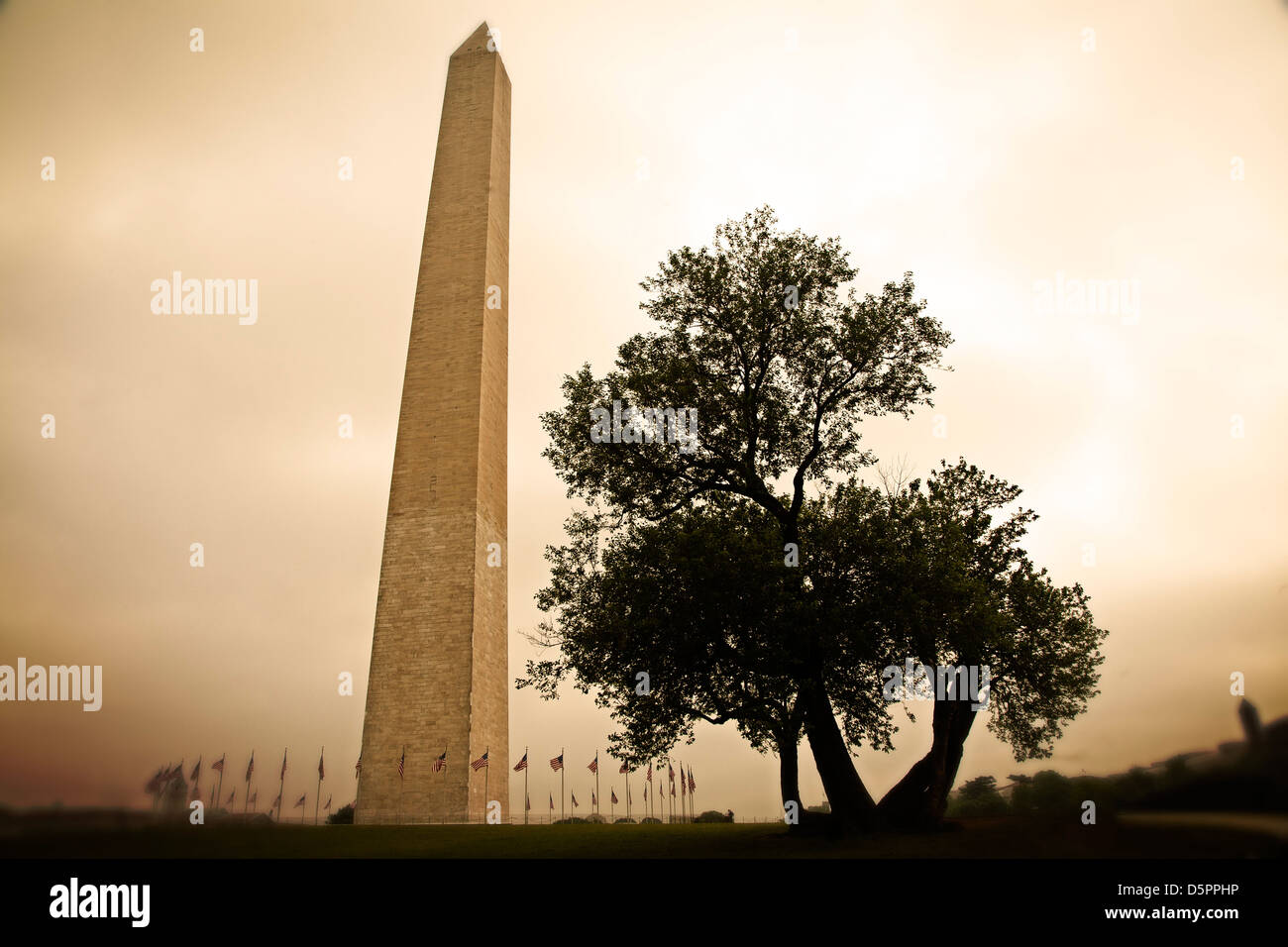 Le Washington Monument sur le centre commercial national de Washington DC. Banque D'Images