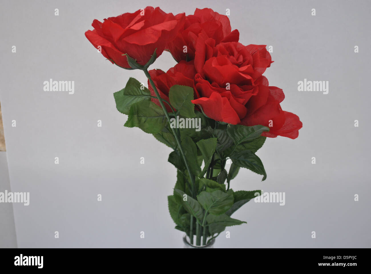 Roses rouges pour maman Banque D'Images