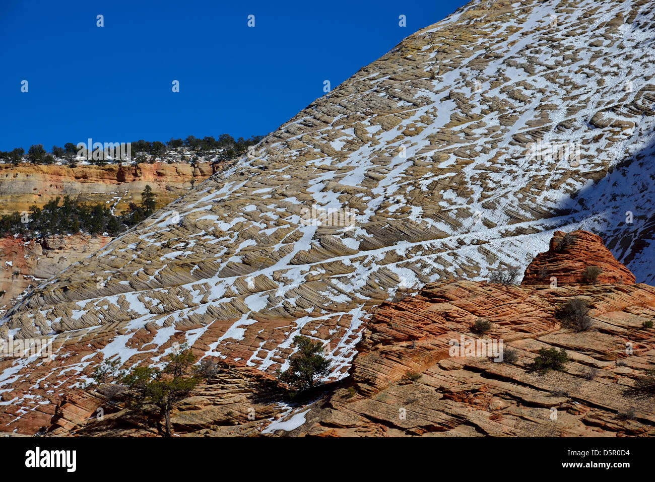 La neige reste au damier Mesa. Zion National Park, Utah, USA. Banque D'Images