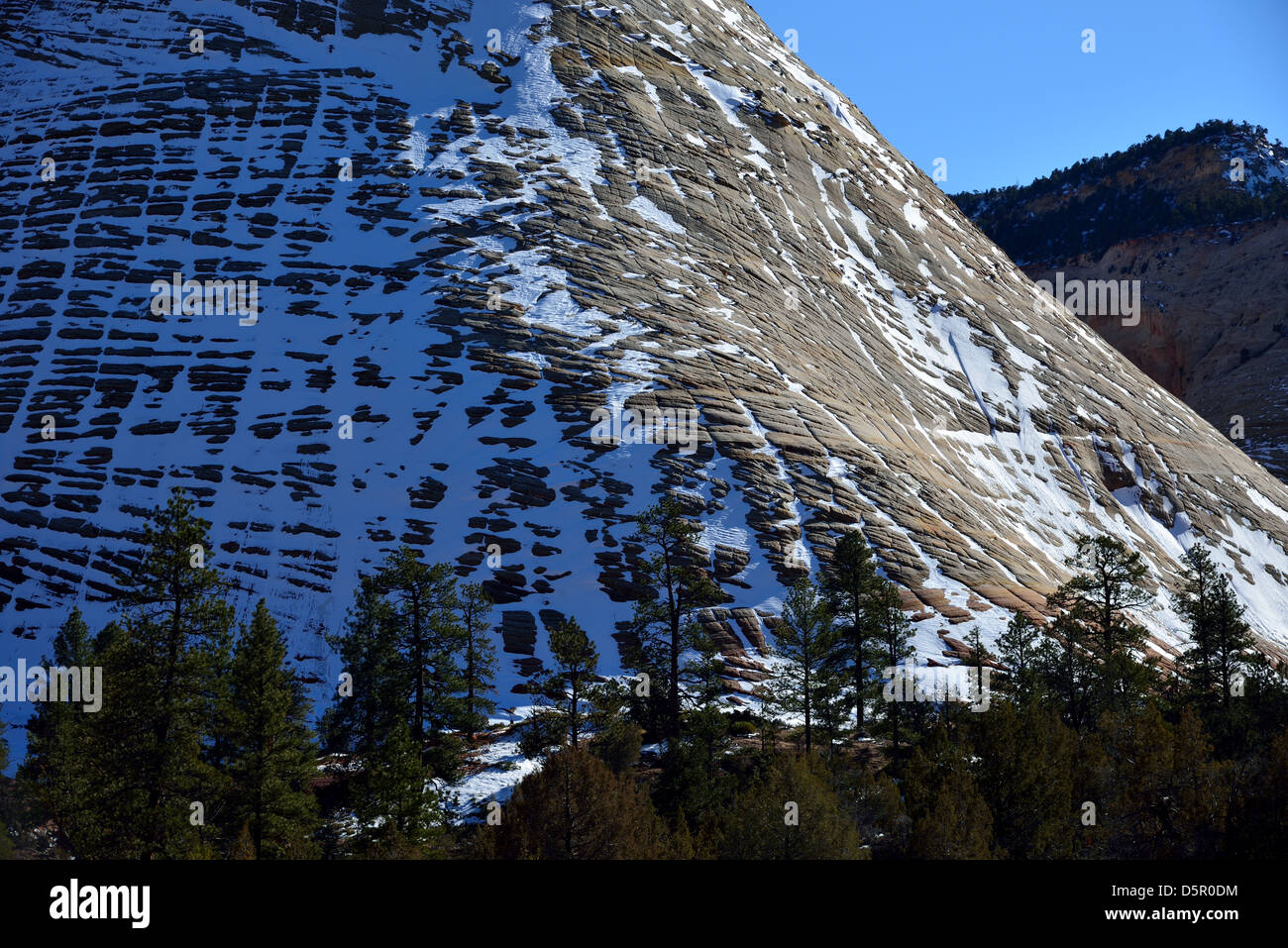 Damier Mesa couverte de neige légère. Zion National Park, Utah, USA. Banque D'Images