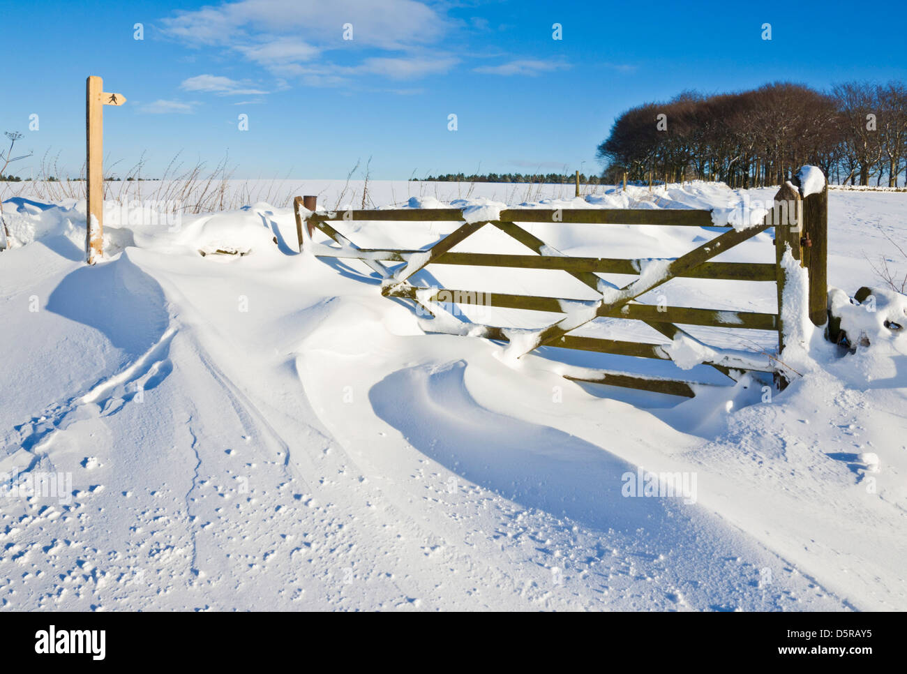 La neige couvrant une porte, sentier public signer, les murs et les champs Derbyshire Peak District en Angleterre, GO, le Royaume-Uni, l'Union européenne, de l'Europe Banque D'Images