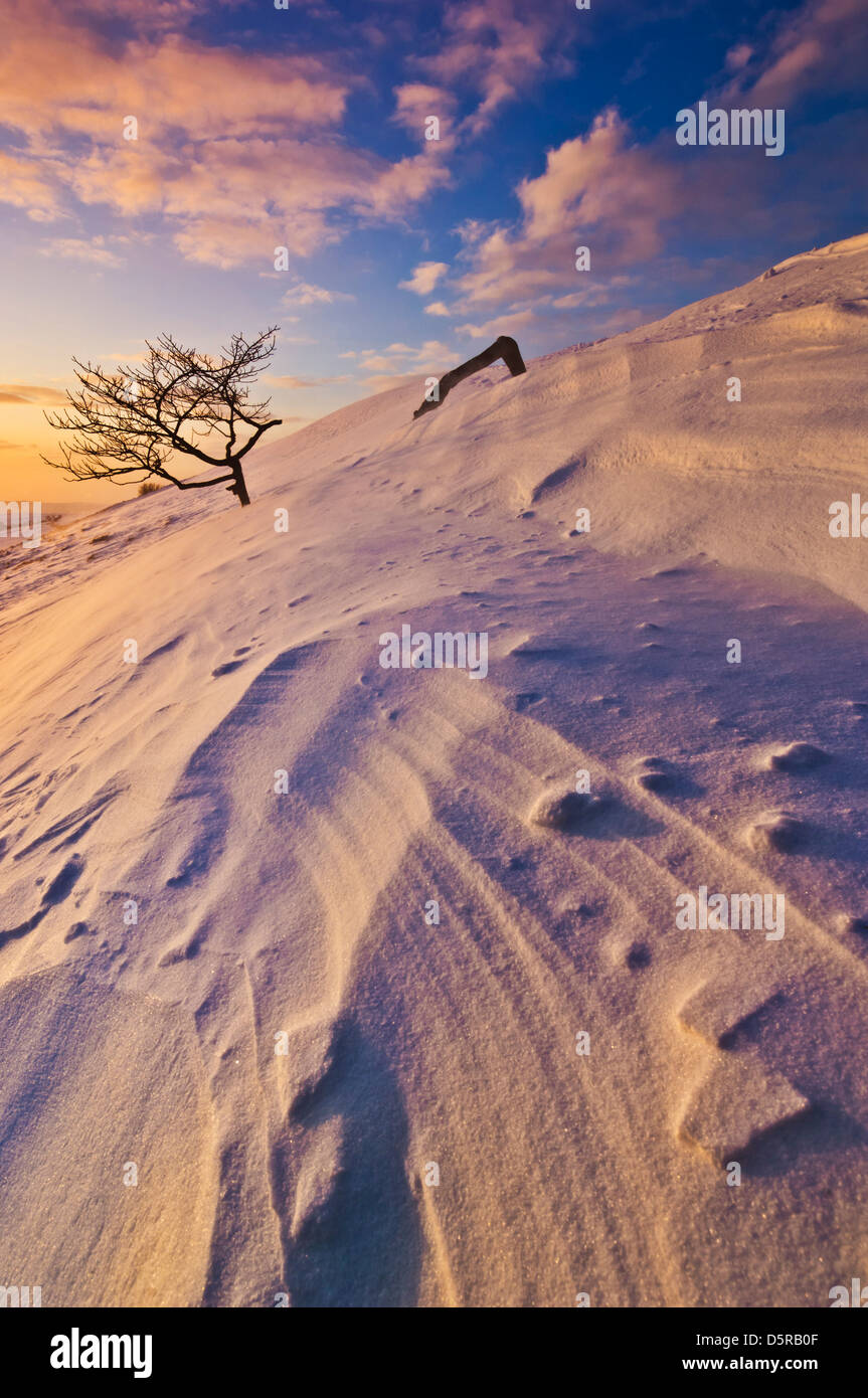 Arbre enterré sur le bord de Rushup au coucher du soleil dans la neige profonde, Derbyshire Peak District National Park, Derbyshire, Angleterre, GB, Royaume-Uni, Europe Banque D'Images