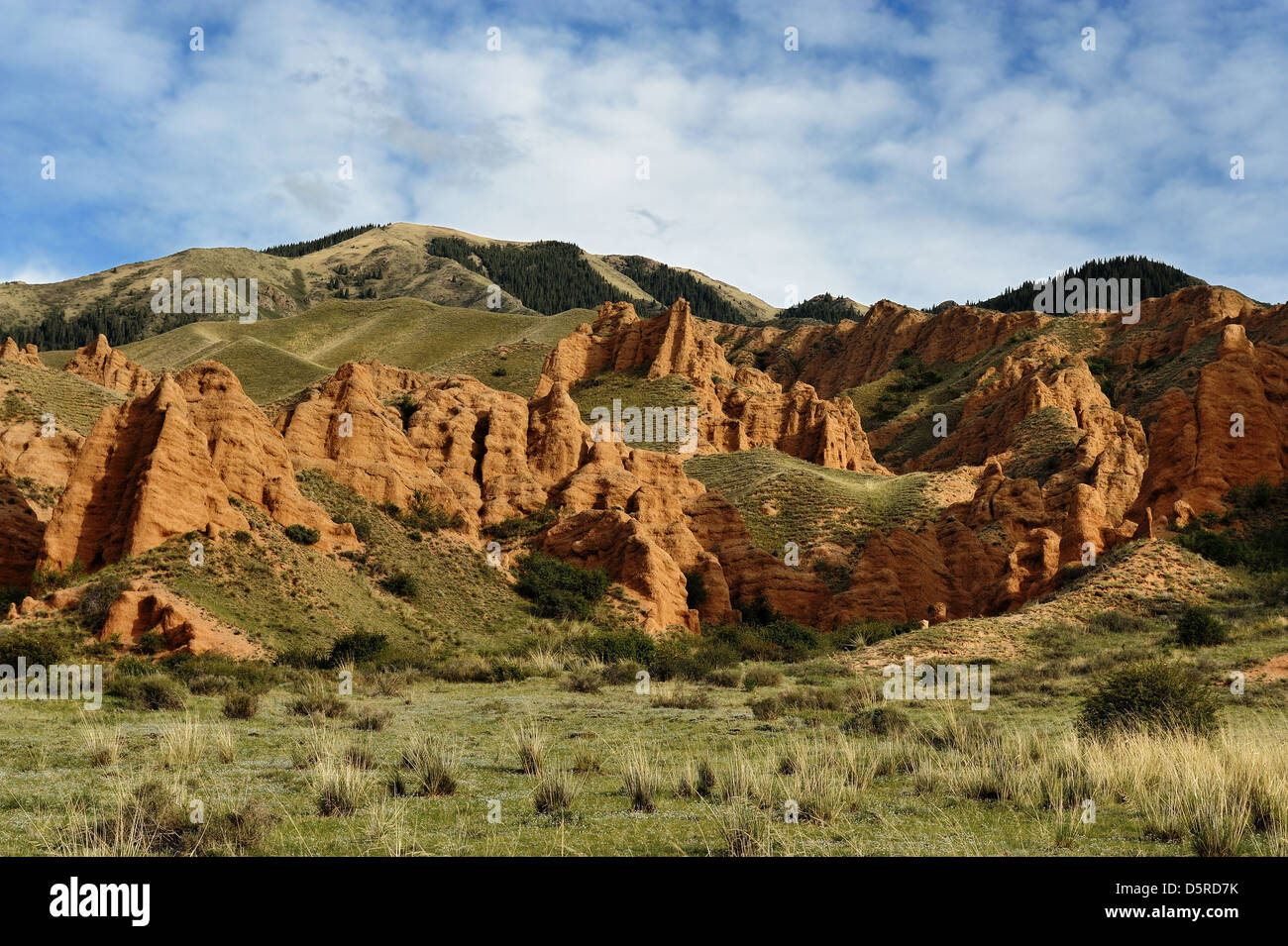Les roches érodées, Asy river canyon, Kazakhstan Banque D'Images