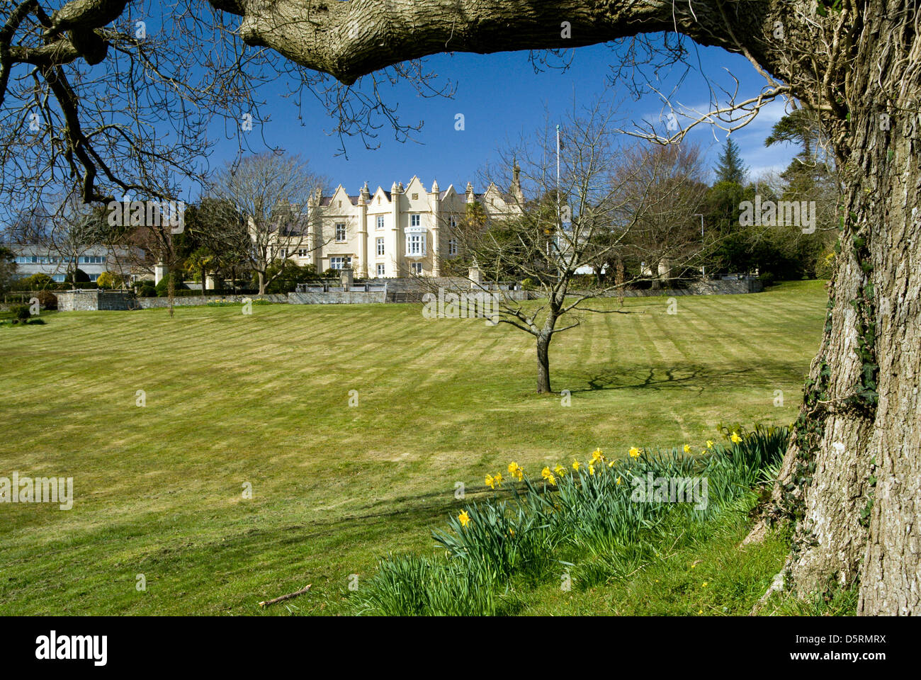 19e siècle l'abbaye de singleton partie de l'université de Swansea au Pays de Galles UK Banque D'Images