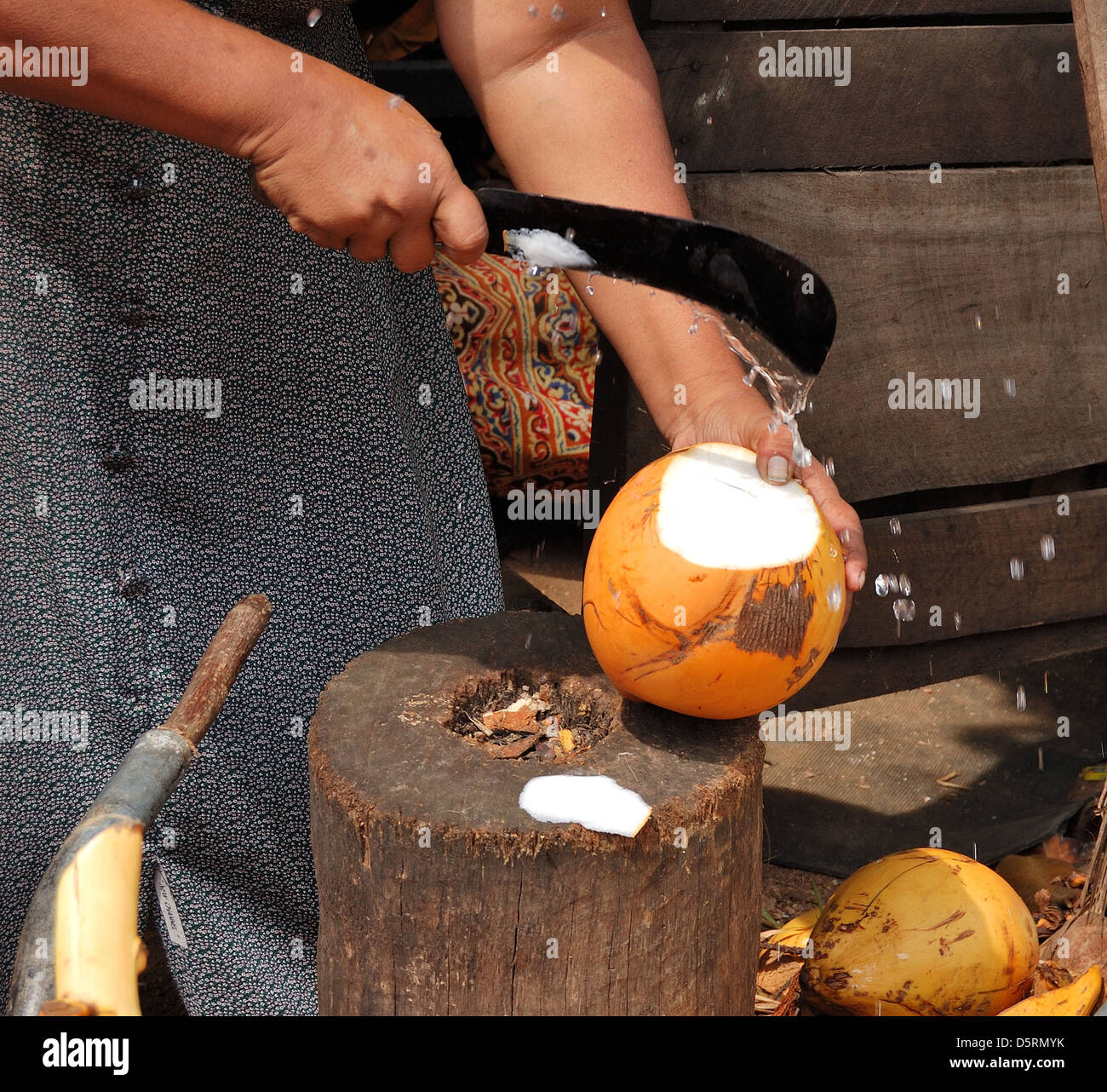 Les femmes vendent fruits de cocotier, Sri Lanka Banque D'Images