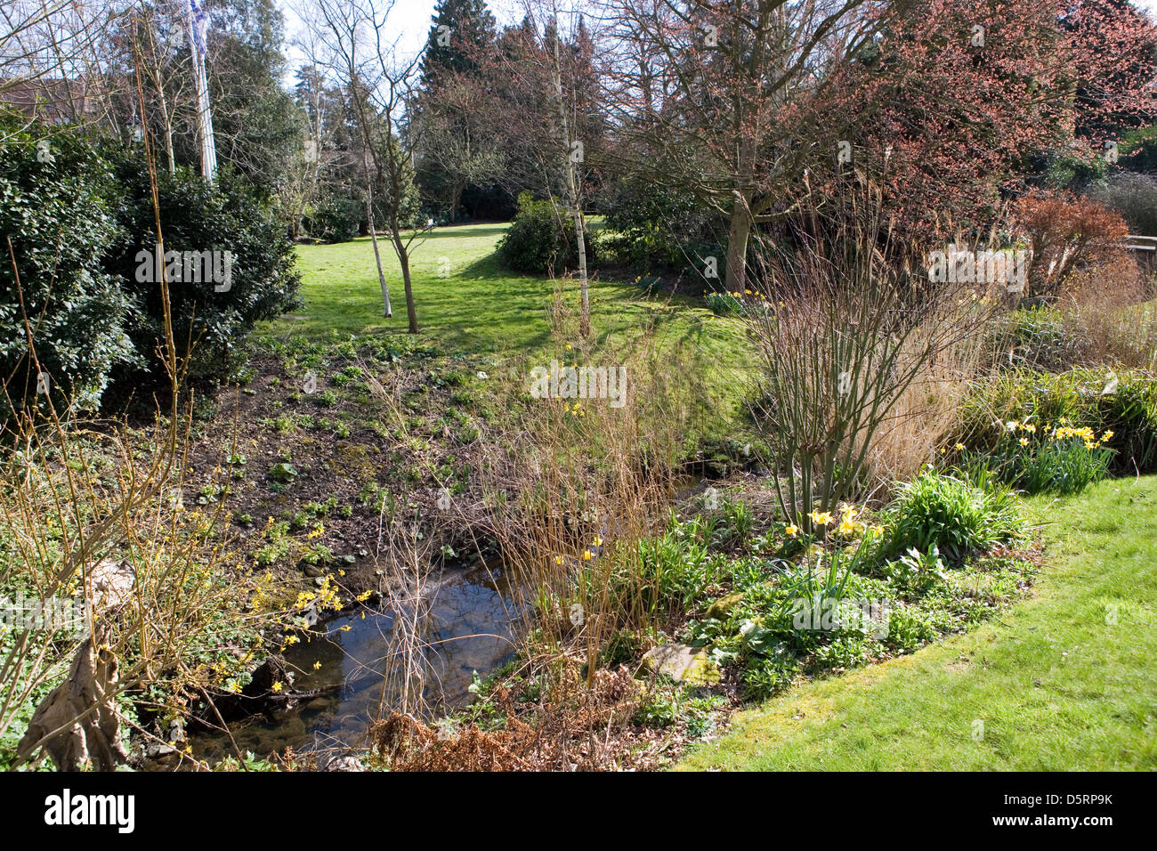 Woodland Garden Surrey England Banque D'Images