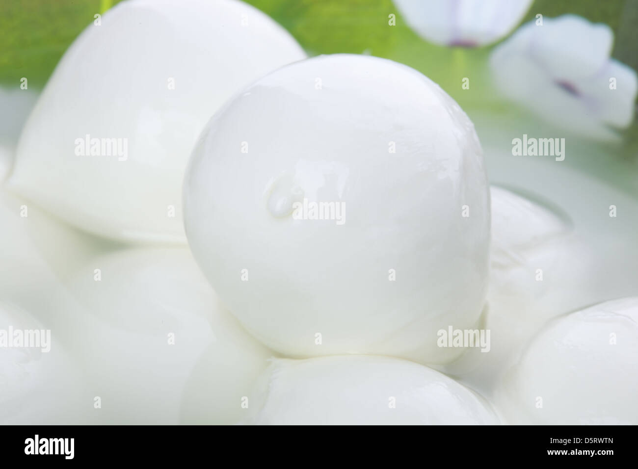 La mozzarella de Buffalo italien frais Banque D'Images