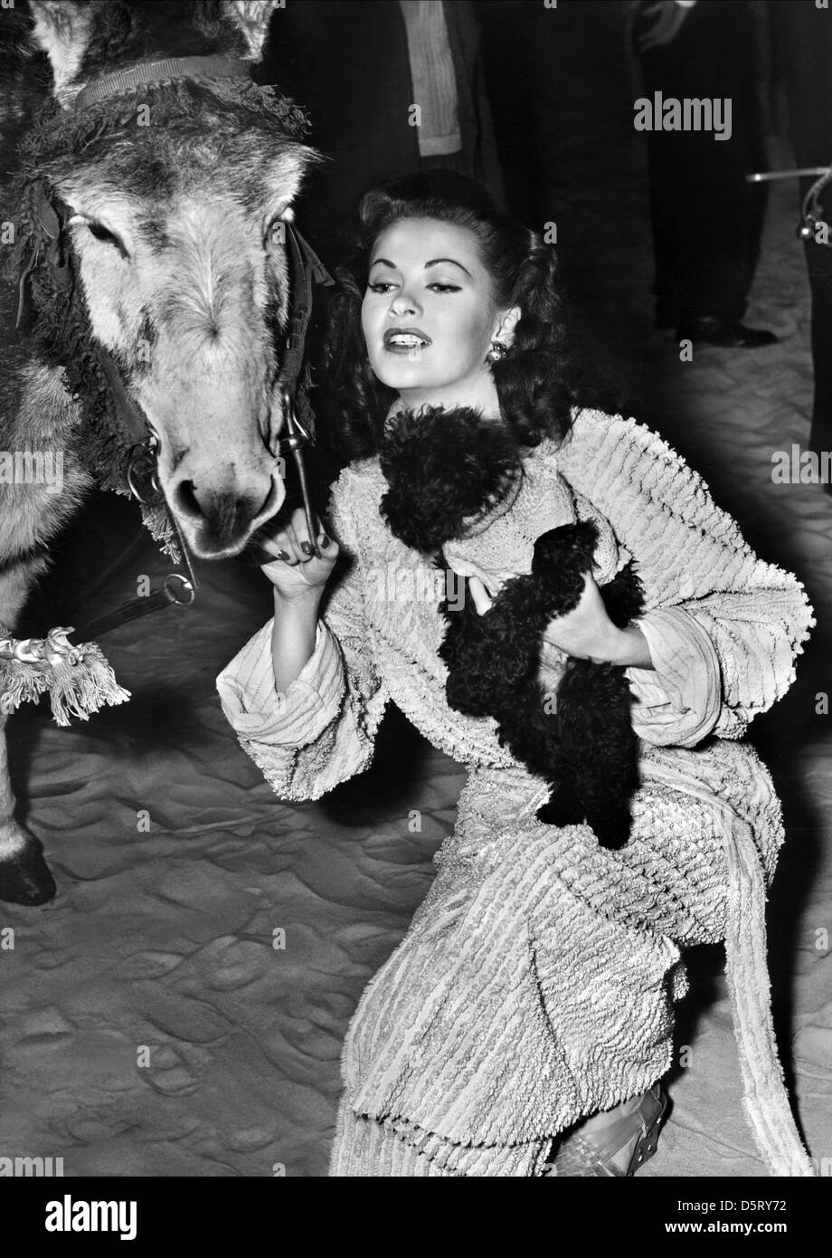 YVONNE DE CARLO HÔTEL SAHARA (1951) Banque D'Images